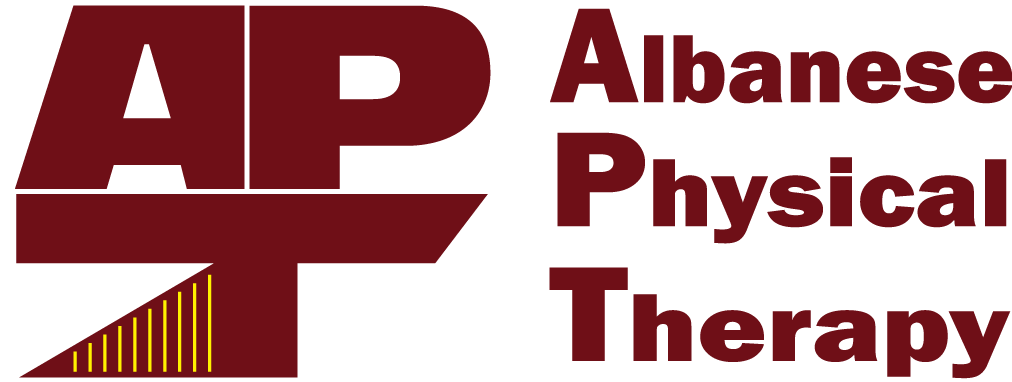 apt-logo-no-outline-albanese-physical-therapy-new-birghton-pa